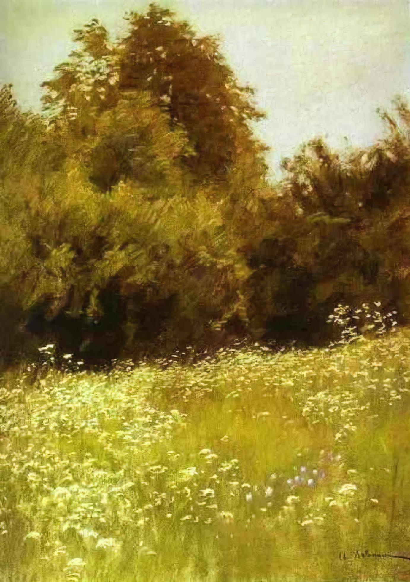 Meadow on the Edge of a Forest